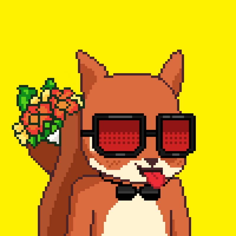 Pixel Squirrels #5901